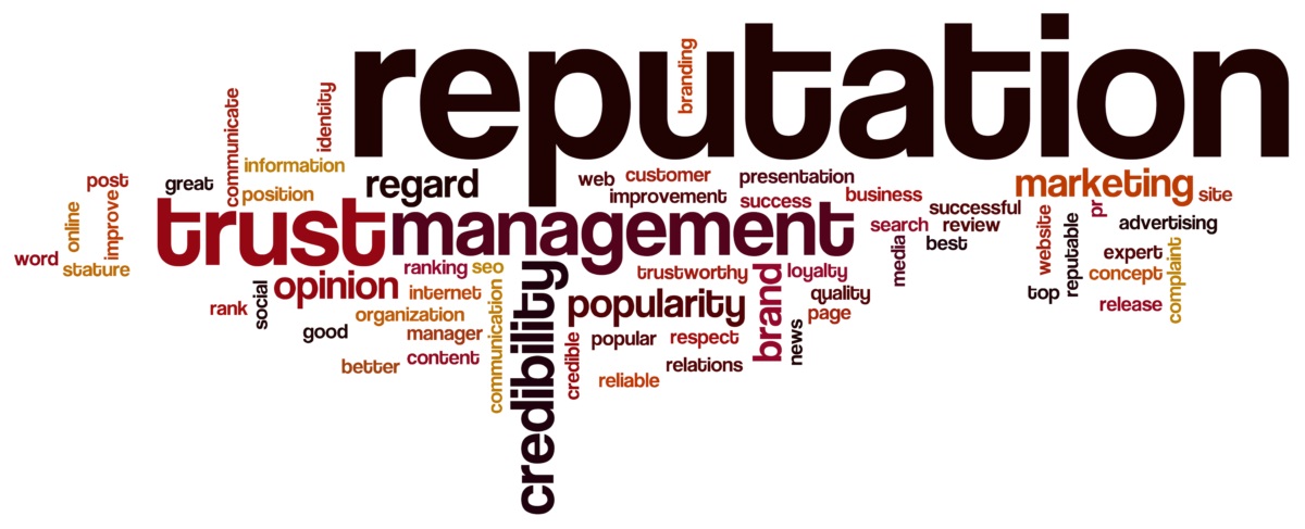 Online Reputation Management for Politicians