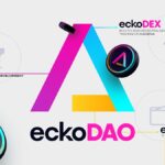 The Introduction To EckoDAO, EckoDEX, and Blockchain Technology