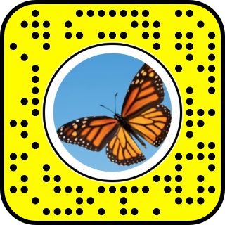 Snapchat Filter Butterflies