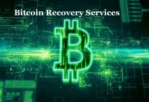 Expert Insights into Professional Bitcoin Recovery Services